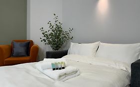 Modern One-Bedroom Apartment